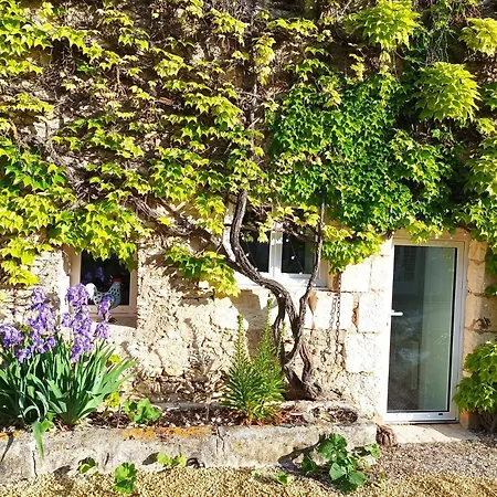 Les Iris - Erable - Petit Dejeuner לינה וארוחת בוקר Avanton