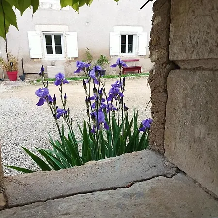 לינה וארוחת בוקר Les Iris - Erable - Petit Dejeuner Avanton