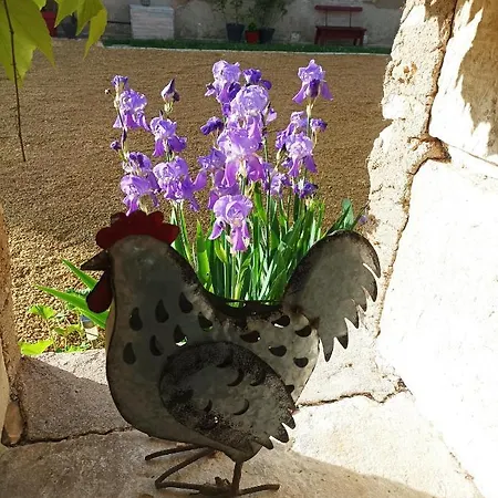 Les Iris - Erable - Petit Dejeuner לינה וארוחת בוקר