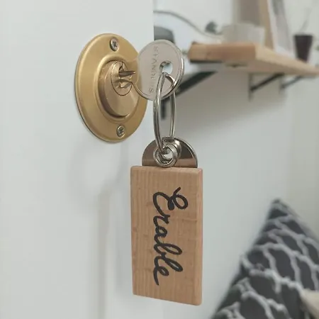 לינה וארוחת בוקר Les Iris - Erable - Petit Dejeuner 3*