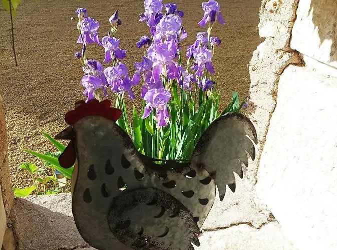 Les Iris - Erable - Petit Dejeuner Bed & Breakfast