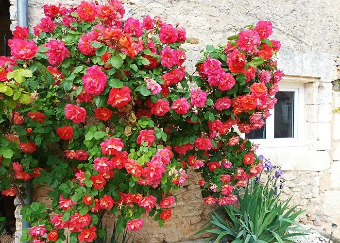 Les Iris - Erable - Petit Dejeuner 3* Avanton